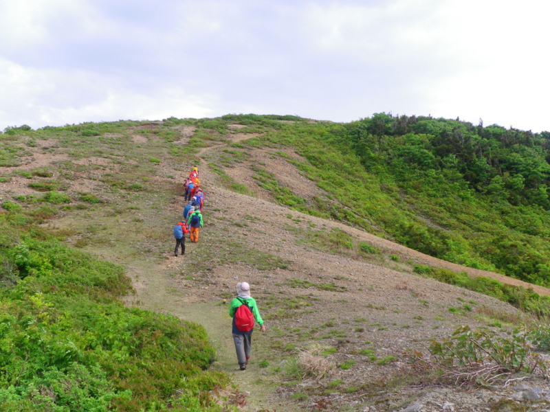 f:id:s-field0808:20130610132657j:image:w360 f:id:s-field0808:20130610132657j:image:w360