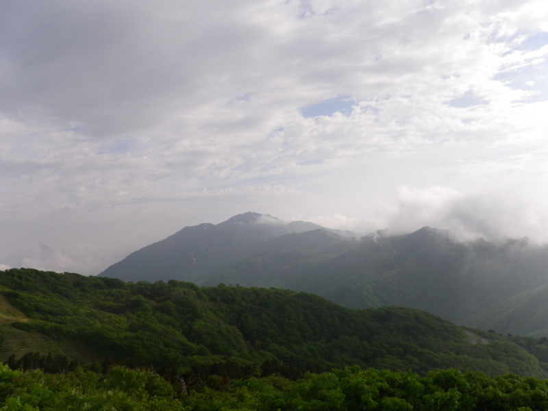 f:id:s-field0808:20130610132812j:image:w360 f:id:s-field0808:20130610132812j:image:w360