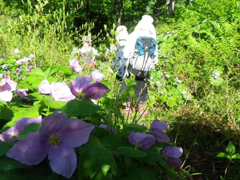 f:id:s-field0808:20130610133155j:image:w360 f:id:s-field0808:20130610133155j:image:w360