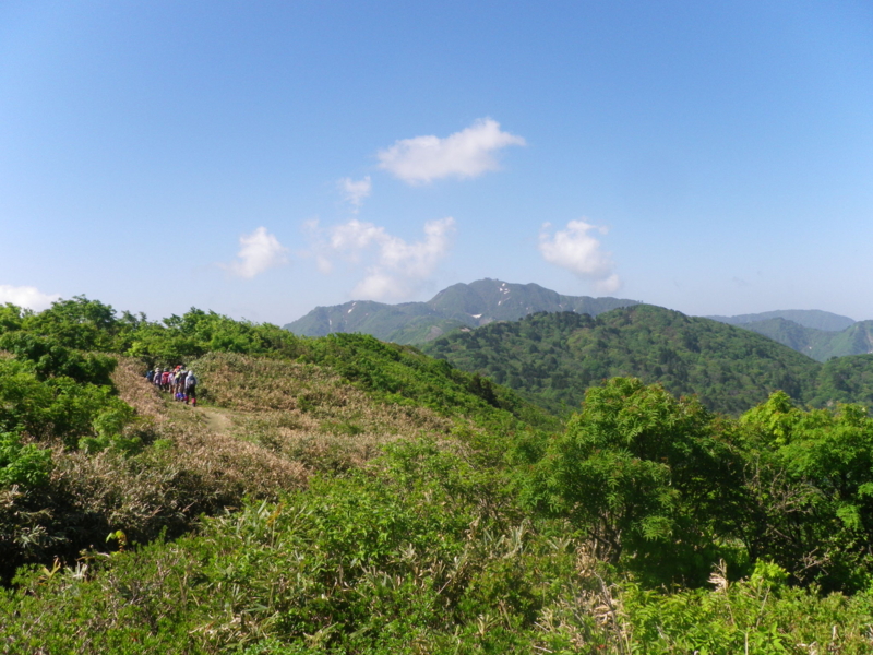 f:id:s-field0808:20130610133341j:image:w360 f:id:s-field0808:20130610133341j:image:w360