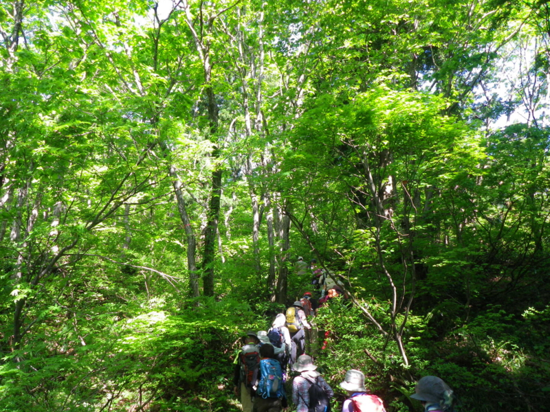 f:id:s-field0808:20130610133345j:image:w360 f:id:s-field0808:20130610133345j:image:w360