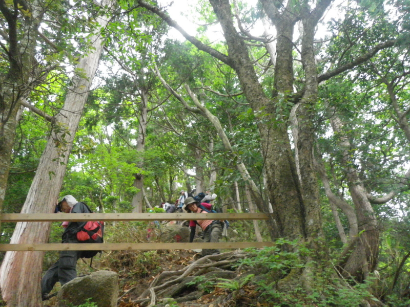 f:id:s-field0808:20130624112701j:image:w360