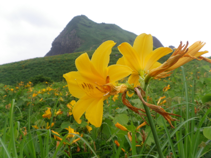 f:id:s-field0808:20130624134916j:image:w360 f:id:s-field0808:20130624134916j:image:w360