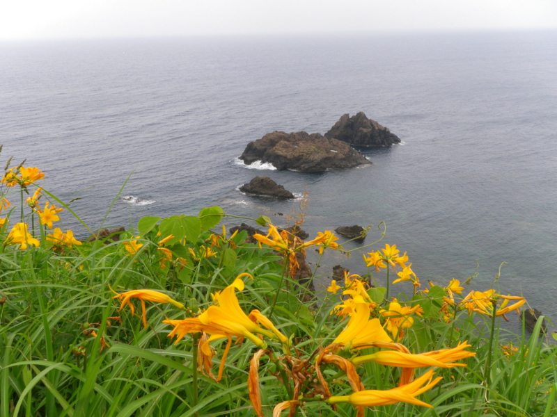 f:id:s-field0808:20130624134921j:image:w360 f:id:s-field0808:20130624134921j:image:w360