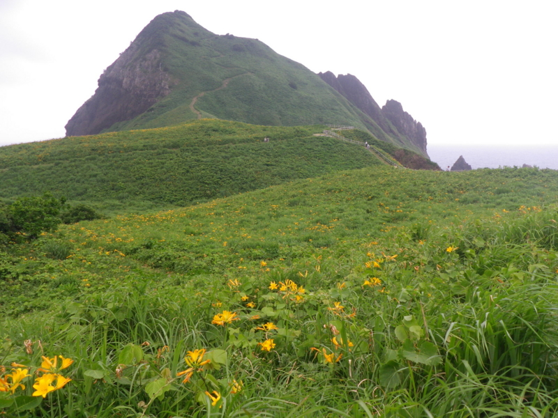 f:id:s-field0808:20130624134925j:image:w360 f:id:s-field0808:20130624134925j:image:w360