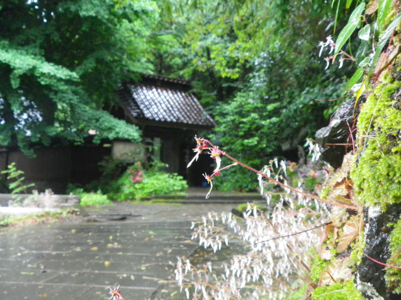 f:id:s-field0808:20130624140855j:image:w360 f:id:s-field0808:20130624140855j:image:w360