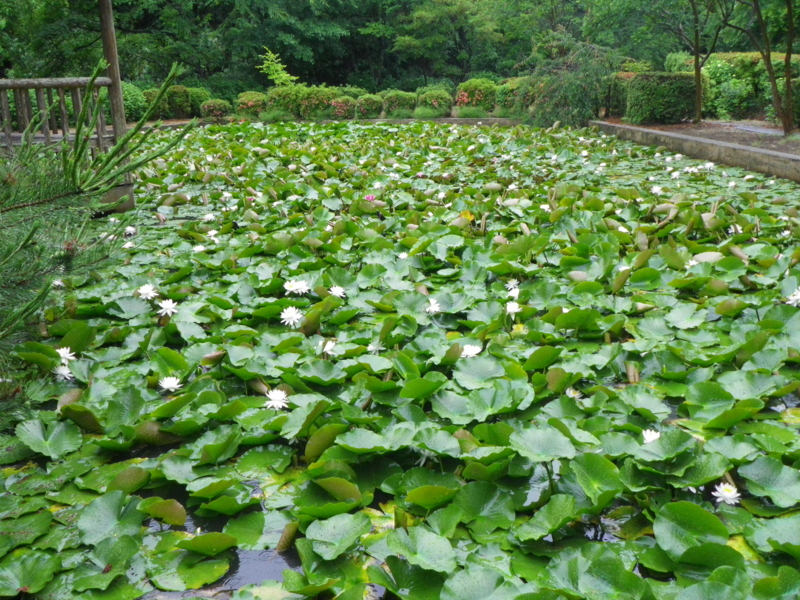 f:id:s-field0808:20130624142155j:image:w360 f:id:s-field0808:20130624142155j:image:w360