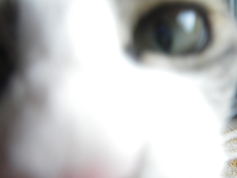 f:id:s-field0808:20130624142425j:image:w360 f:id:s-field0808:20130624142425j:image:w360