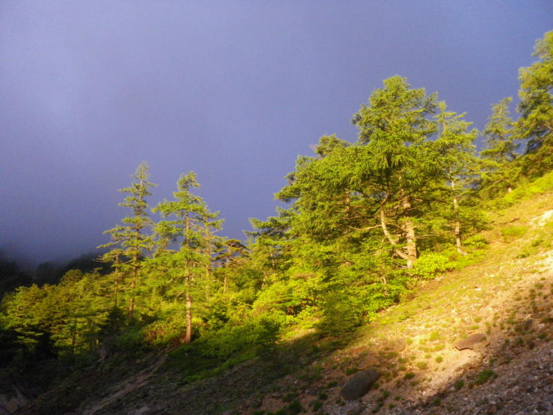 f:id:s-field0808:20130710161226j:image:w360