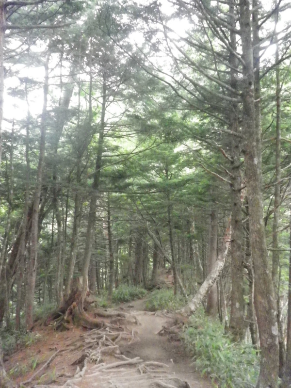 f:id:s-field0808:20130719105432j:image:w360 f:id:s-field0808:20130719105432j:image:w360