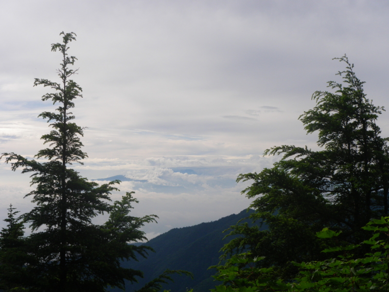 f:id:s-field0808:20130719105923j:image:w360 f:id:s-field0808:20130719105923j:image:w360