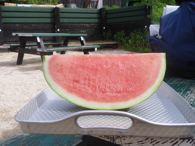 f:id:s-field0808:20130719110123j:image:w360 f:id:s-field0808:20130719110123j:image:w360