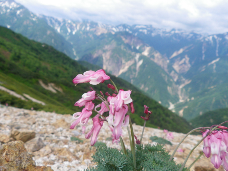 f:id:s-field0808:20130719110823j:image:w360 f:id:s-field0808:20130719110823j:image:w360