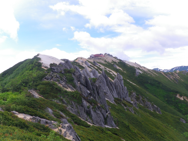 f:id:s-field0808:20130719111033j:image:w360 f:id:s-field0808:20130719111033j:image:w360