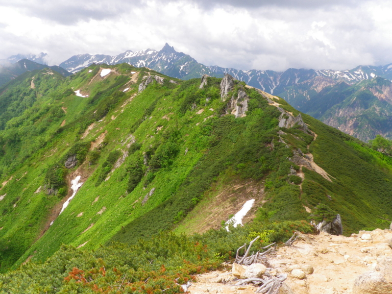 f:id:s-field0808:20130719111125j:image:w360 f:id:s-field0808:20130719111125j:image:w360