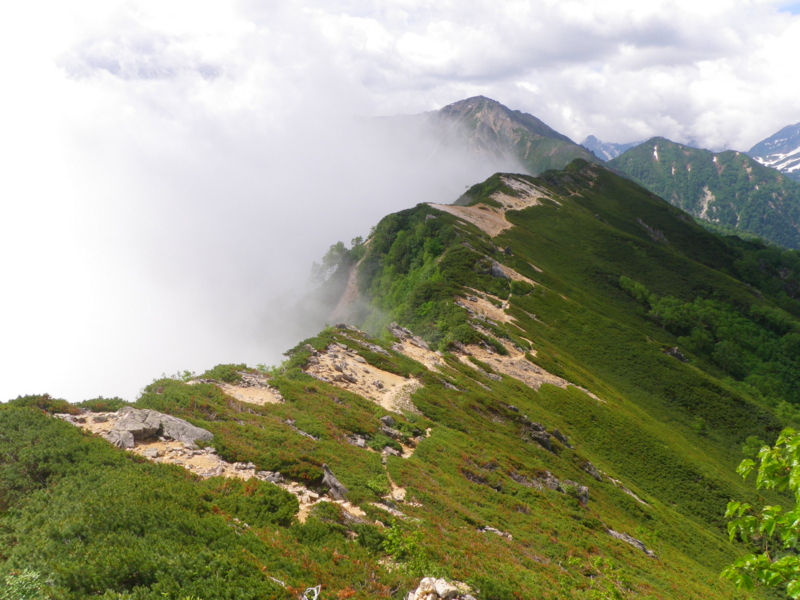 f:id:s-field0808:20130719112220j:image:w360 f:id:s-field0808:20130719112220j:image:w360