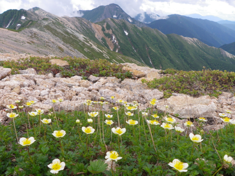 f:id:s-field0808:20130719113301j:image:w360 f:id:s-field0808:20130719113301j:image:w360
