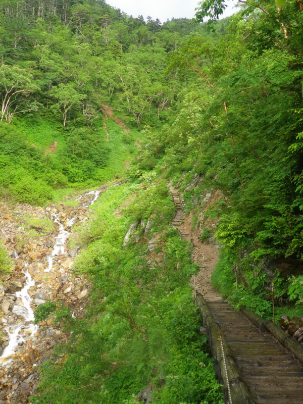 f:id:s-field0808:20130719114029j:image:w360 f:id:s-field0808:20130719114029j:image:w360