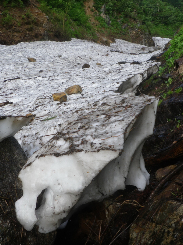 f:id:s-field0808:20130719114147j:image:w360 f:id:s-field0808:20130719114147j:image:w360