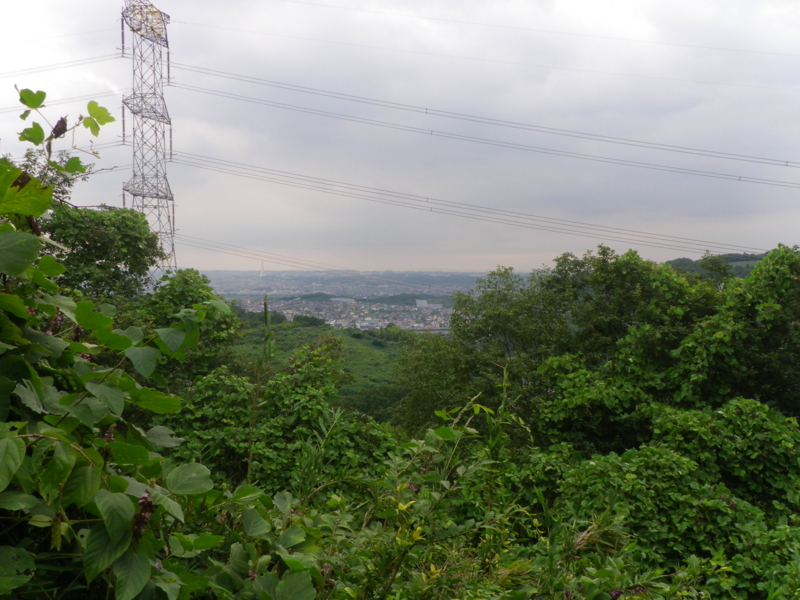 f:id:s-field0808:20130908111213j:image:w360 f:id:s-field0808:20130908111213j:image:w360
