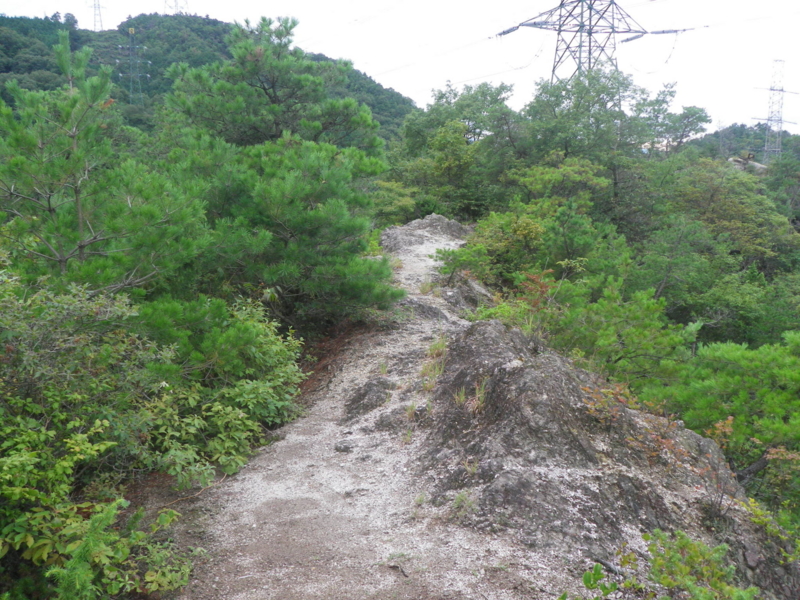 f:id:s-field0808:20130908115404j:image:w360 f:id:s-field0808:20130908115404j:image:w360