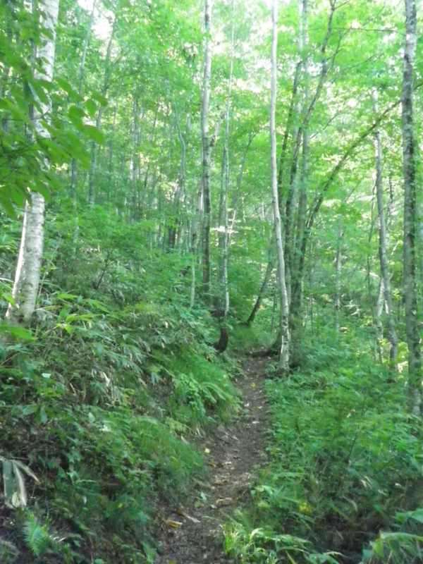 f:id:s-field0808:20130917103559j:image:w360