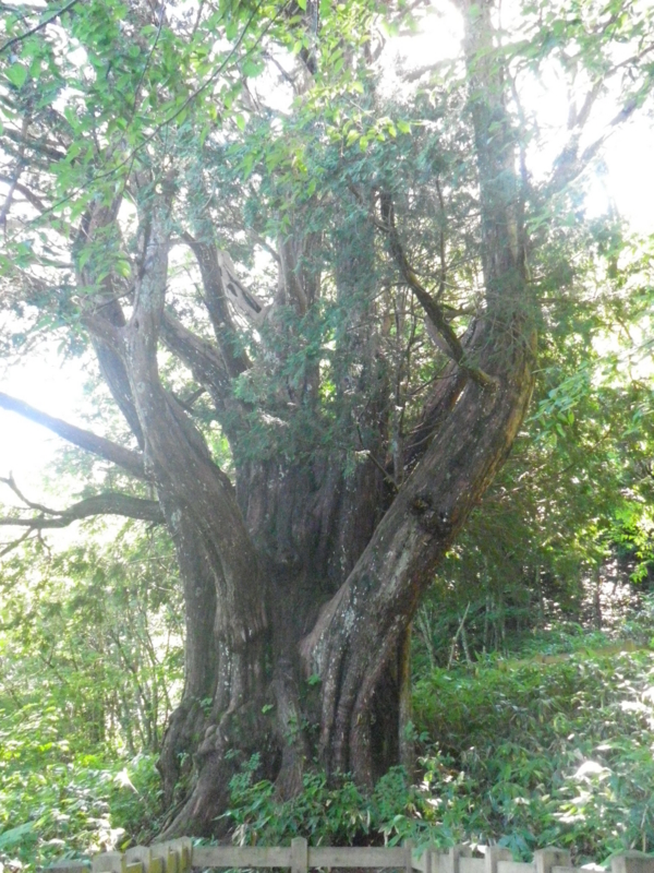 f:id:s-field0808:20130917104857j:image:w360