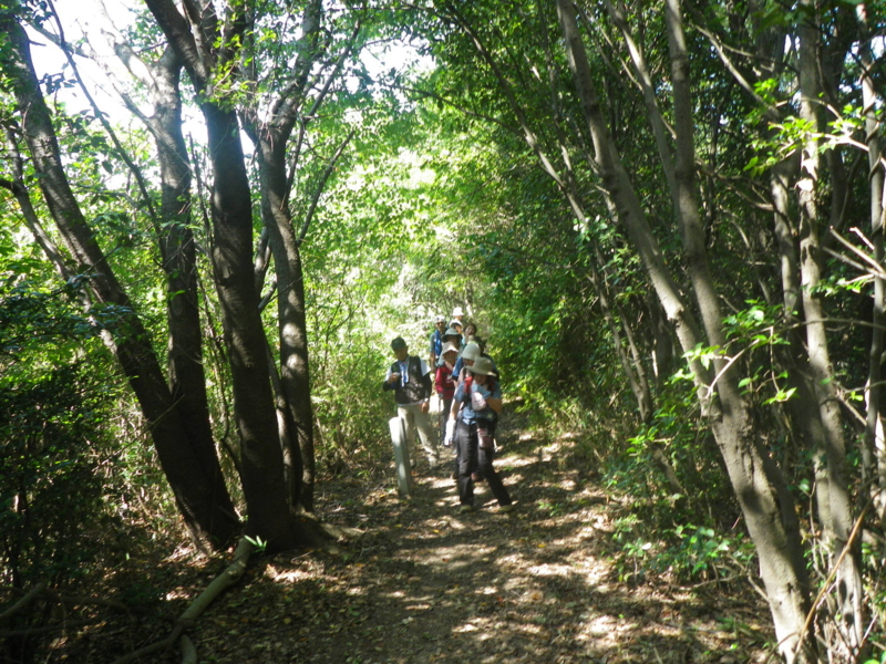 f:id:s-field0808:20130925104043j:image:w360