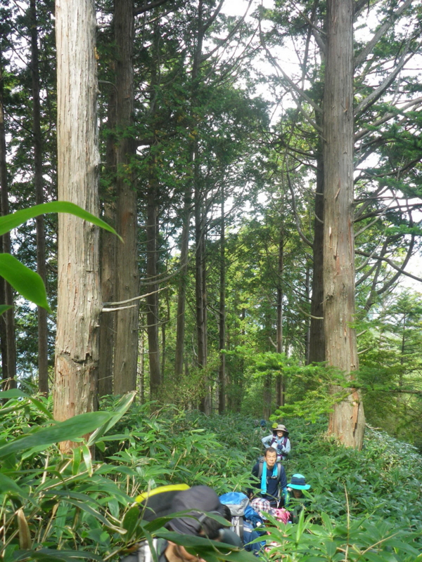 f:id:s-field0808:20130925192122j:image:w360