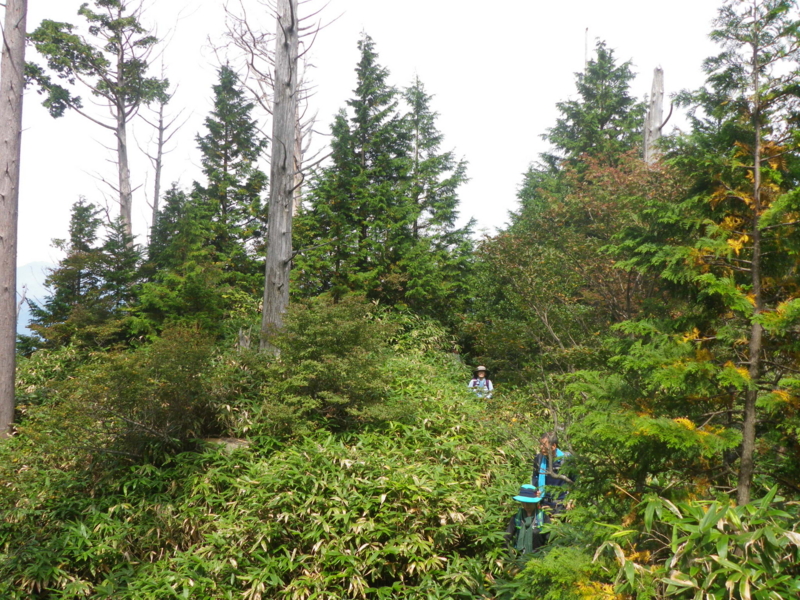 f:id:s-field0808:20130925192309j:image:w360