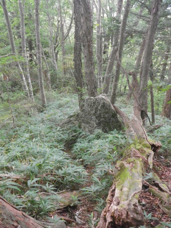 f:id:s-field0808:20130925192832j:image:w360