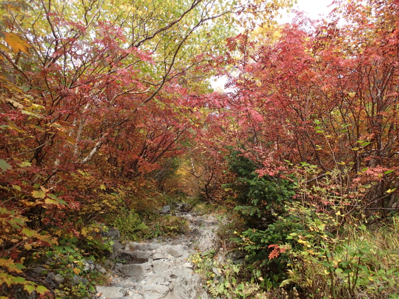f:id:s-field0808:20131008131209j:image:w360 f:id:s-field0808:20131008131209j:image:w360