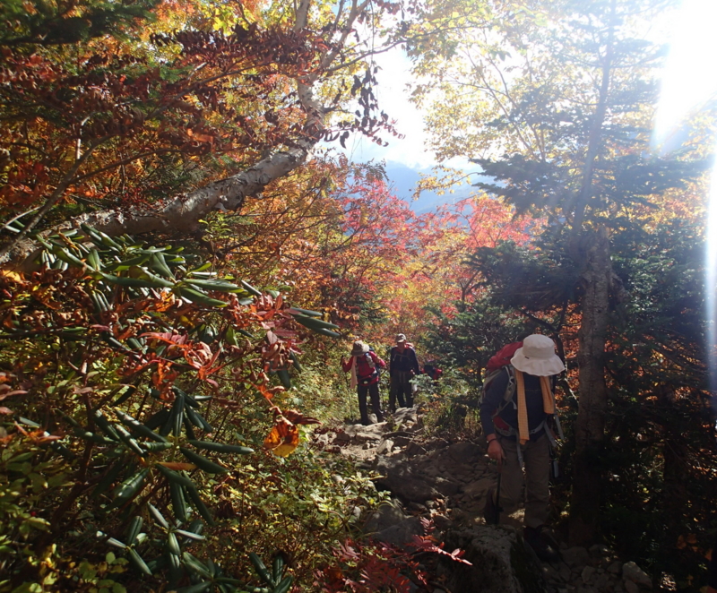 f:id:s-field0808:20131010101920j:image:w360 f:id:s-field0808:20131010101920j:image:w360