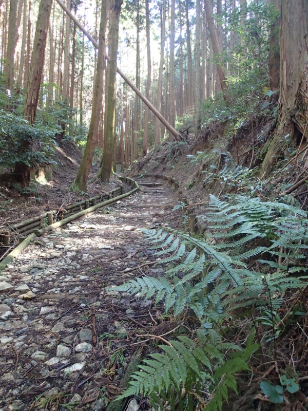 f:id:s-field0808:20131018175926j:image:w360 f:id:s-field0808:20131018175926j:image:w360