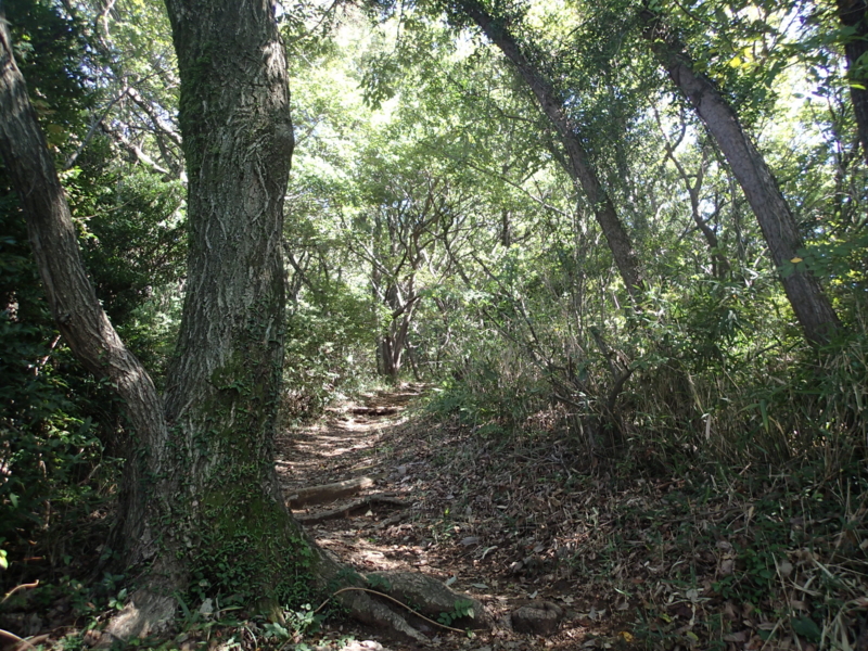 f:id:s-field0808:20131018181911j:image:w360 f:id:s-field0808:20131018181911j:image:w360