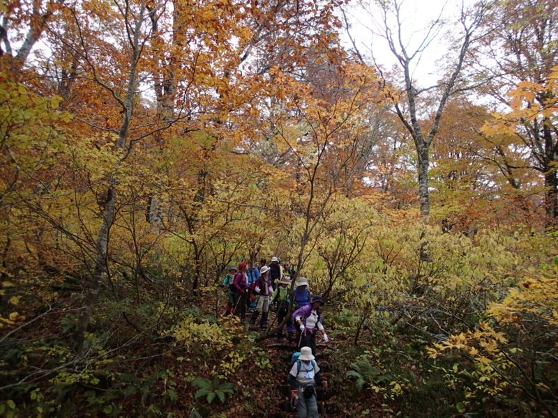f:id:s-field0808:20131028161925j:image:w360