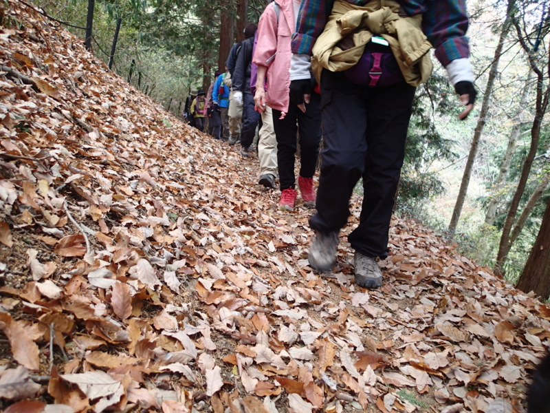 f:id:s-field0808:20131208125511j:image:w360 f:id:s-field0808:20131208125511j:image:w360