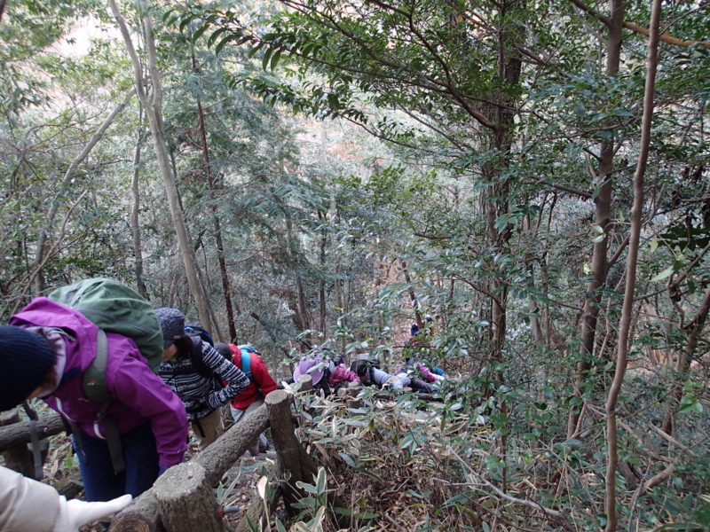 f:id:s-field0808:20131217100920j:image:w360