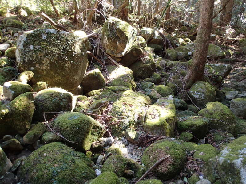 f:id:s-field0808:20140121114757j:image:w360 f:id:s-field0808:20140121114757j:image:w360