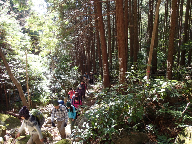 f:id:s-field0808:20140121115357j:image:w360 f:id:s-field0808:20140121115357j:image:w360