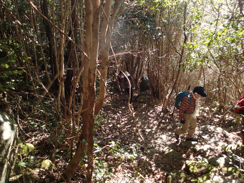 f:id:s-field0808:20140121120459j:image:w360 f:id:s-field0808:20140121120459j:image:w360