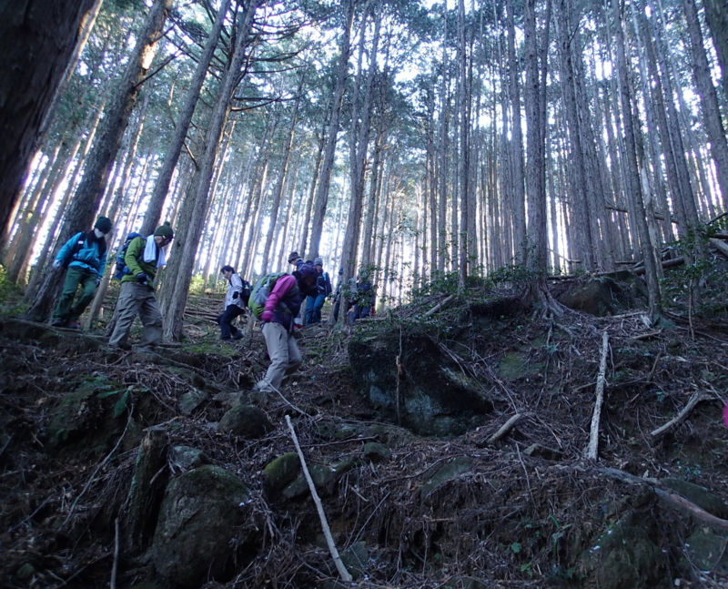 f:id:s-field0808:20140121121406j:image:w360 f:id:s-field0808:20140121121406j:image:w360