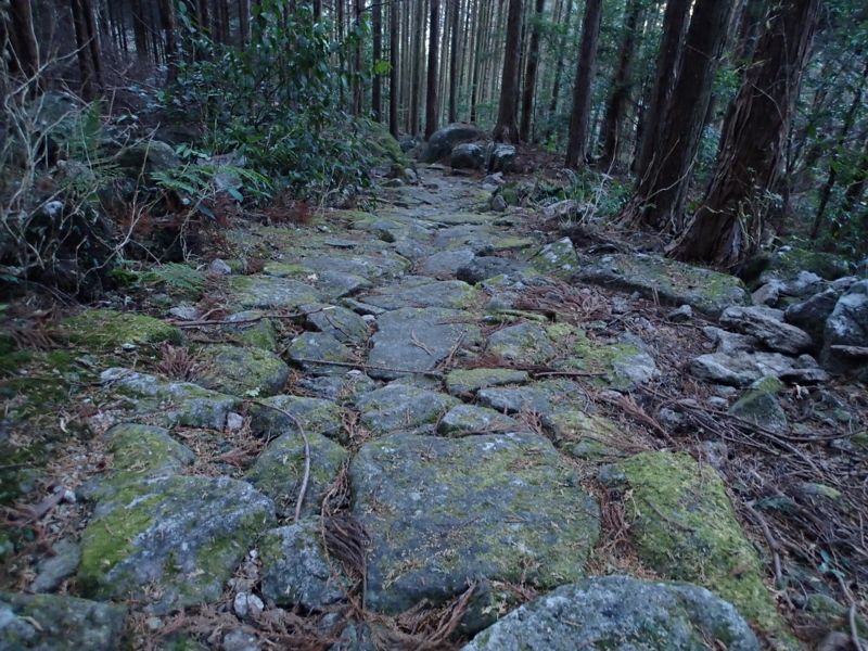 f:id:s-field0808:20140121121957j:image:w360 f:id:s-field0808:20140121121957j:image:w360
