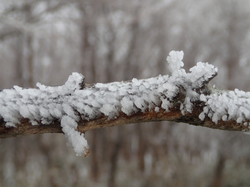 f:id:s-field0808:20140205132924j:image:w360 f:id:s-field0808:20140205132924j:image:w360