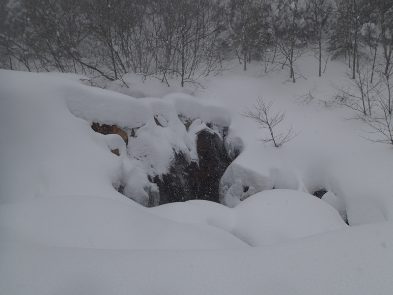 f:id:s-field0808:20140311190025j:image:w360 f:id:s-field0808:20140311190025j:image:w360