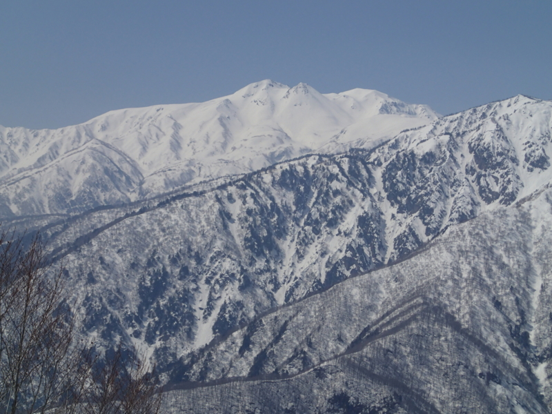 f:id:s-field0808:20140330130939j:image:w360 f:id:s-field0808:20140330130939j:image:w360