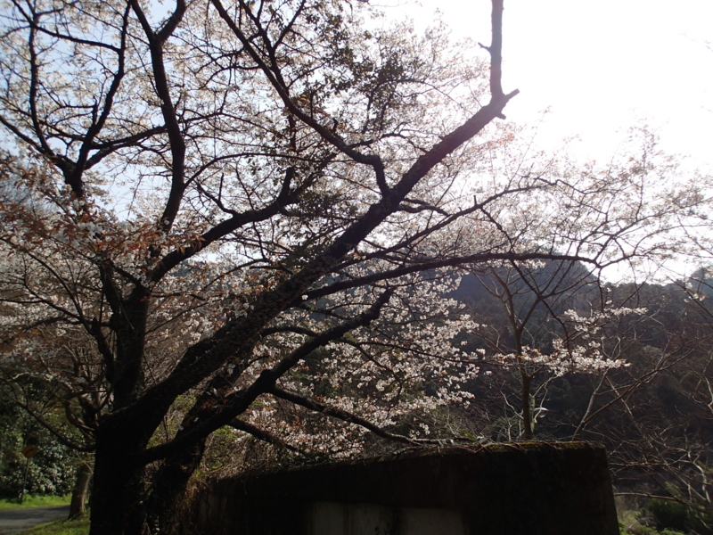f:id:s-field0808:20140404131716j:image:w360 f:id:s-field0808:20140404131716j:image:w360