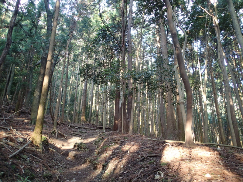 f:id:s-field0808:20140410160201j:image:w360 f:id:s-field0808:20140410160201j:image:w360