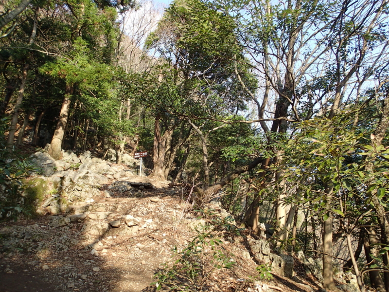 f:id:s-field0808:20140410160350j:image:w360 f:id:s-field0808:20140410160350j:image:w360