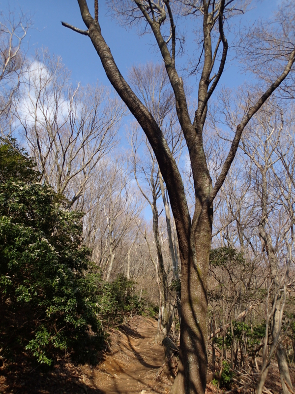 f:id:s-field0808:20140410160737j:image:w360 f:id:s-field0808:20140410160737j:image:w360